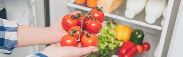 cropped view of woman holding tomatoes near open fridge with fresh food on shelves, panoramic shot - Фото, изображение