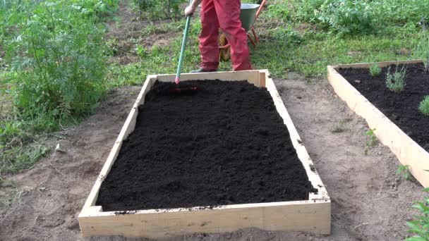 ogrodnik grabienie czarny gleby humus w nowym drewnianym podniesione łóżko dla ziół i kwiatów - Materiał filmowy, wideo