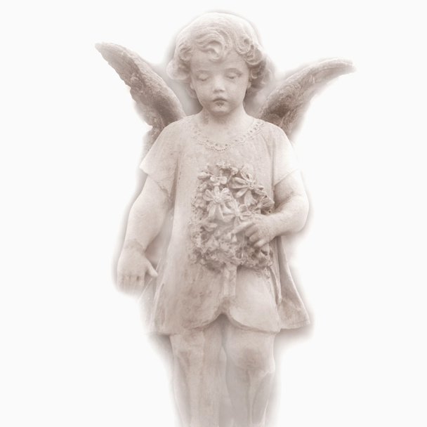 Άγγελος σε άσπρο φόντο - Φωτογραφία, εικόνα