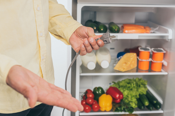 vista ritagliata di uomo tenendo cavo di alimentazione scollegato del frigorifero isolato su bianco
 - Foto, immagini