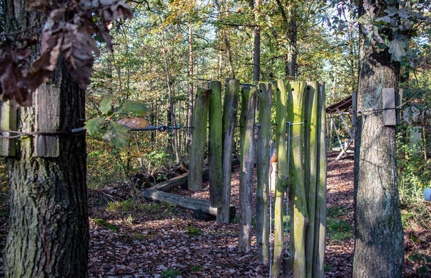 Claves y un ratón de madera en un parque infantil del bosque en Neum jalá hle /
  - Foto, imagen
