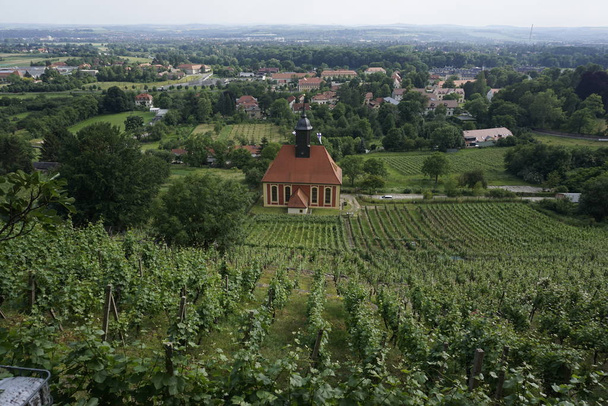 Vista sobre as vinhas de Dresden Pillnitz
 - Foto, Imagem