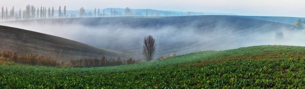 Hilly Field. aube d'automne dans un champ pittoresque
 - Photo, image