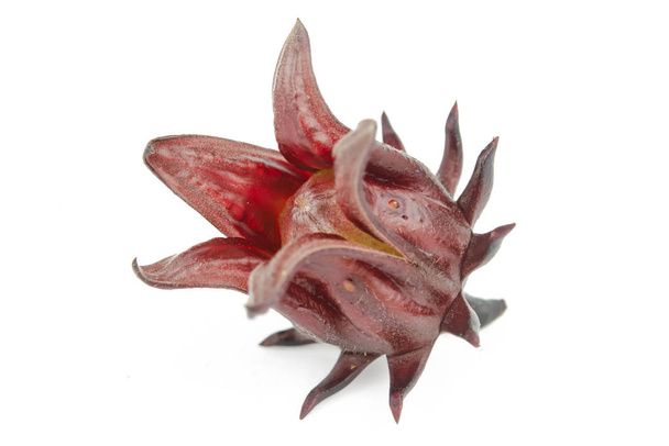 Roselle, Sorelor giamaicano o Hibiscus sabdariffa isolato su cui
 - Foto, immagini