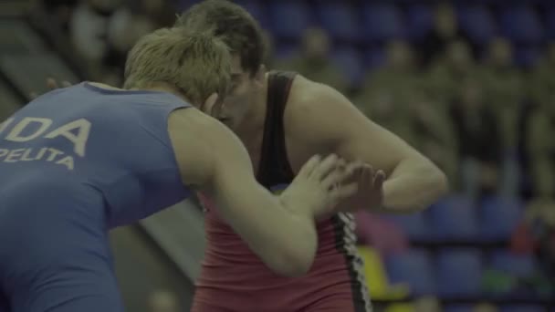Wrestlers during the wrestling competition. Kyiv. Ukraine - Materiał filmowy, wideo