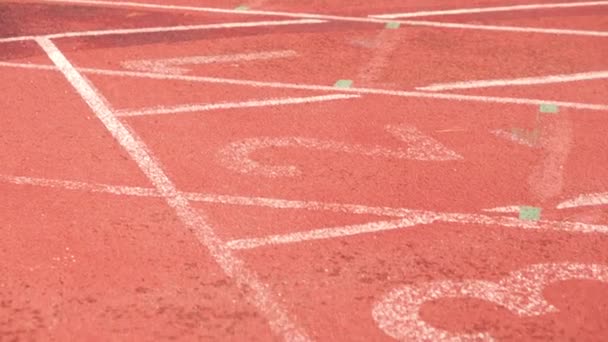 Running track, starting line numbers. Panning shot of athletics track. - Footage, Video