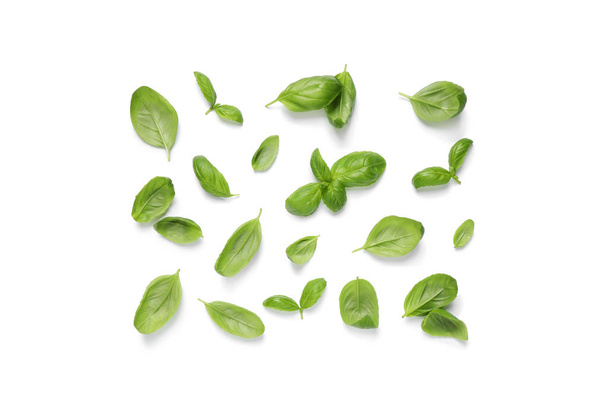 Fresh green basil leaves on white background, top view - Foto, Imagem