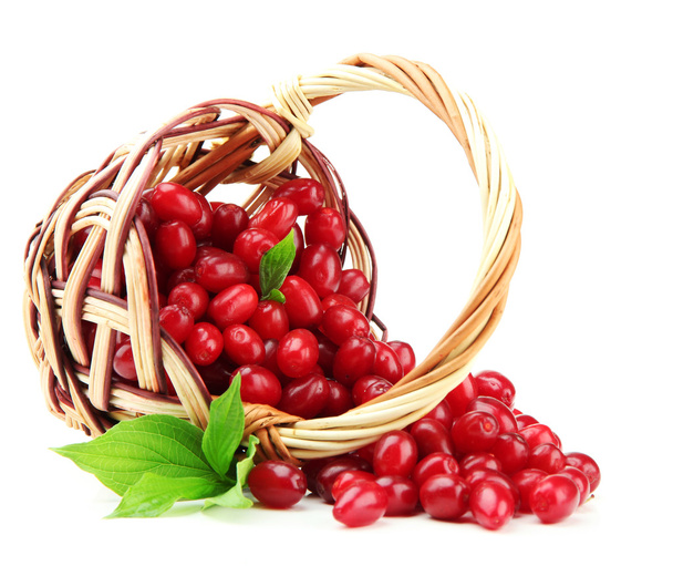 Fresh cornel berries in wicker basket, isolated on white - Foto, afbeelding