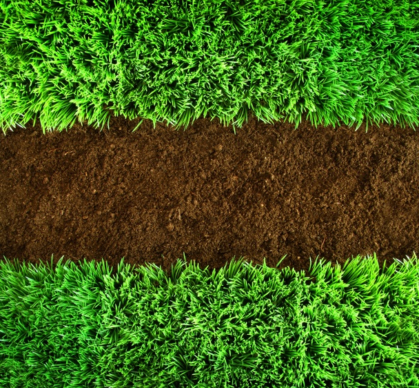 zielone tło trawy i ziemi - Zdjęcie, obraz
