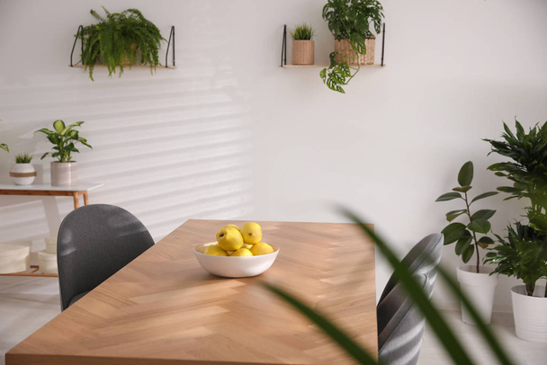 Érett quinces fából készült asztal szobában díszített cserepes növények. Lakástervezés - Fotó, kép