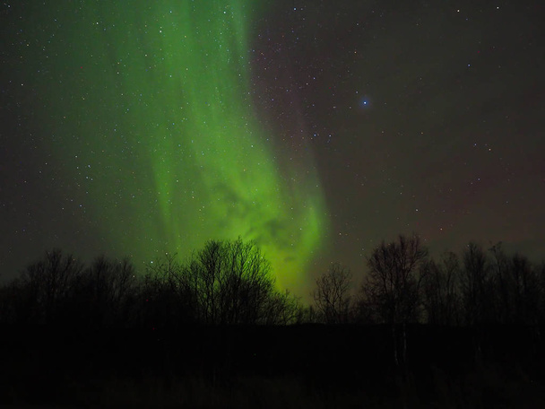 Hermosas luces boreales en el cielo
 - Foto, imagen
