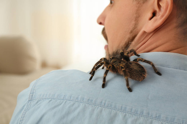 Man with tarantula at home, space for text. Arachnophobia (fear of spiders) - Foto, Bild