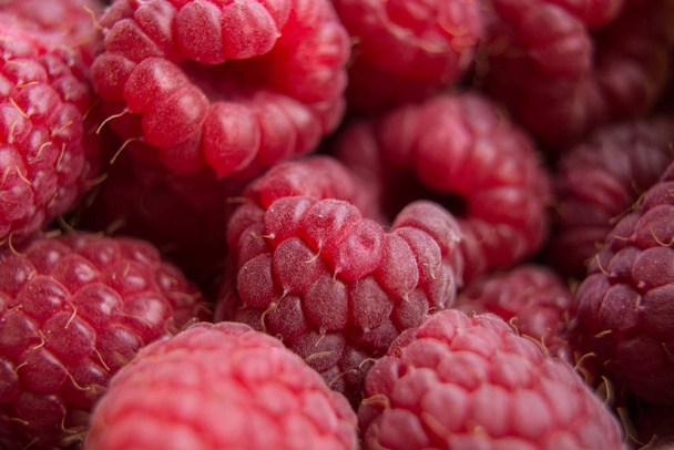 Vitamins. Summer berries. Raspberries background. Close up, selective focus Harvest Concept. - Foto, Imagem