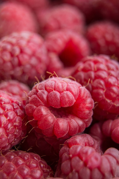Vitamins. Summer berries. Raspberries background. Close up, selective focus Harvest Concept. - Fotografie, Obrázek