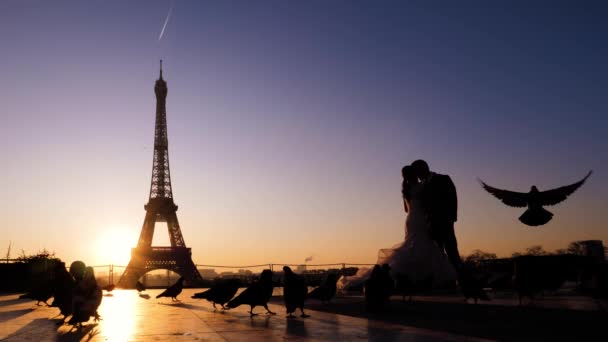 Silhouette küssender Frischvermählter auf einem Eiffelturm-Hintergrund. Sonnenaufgang und Tauben herum. Paris - Filmmaterial, Video