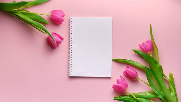 Roze Holland tulpen op roze achtergrond met blanco notitieblok voor tekst, copyspace, achtergrond, top down view, brede compositie - Foto, afbeelding