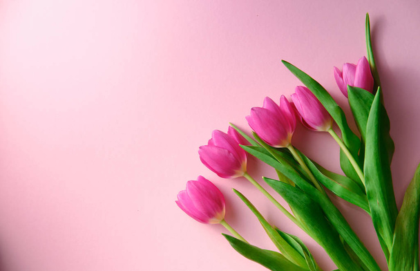 Nizozemské tulipány na růžovém pozadí pohled shora dolů s copyspace vlevo, dovolená koncept, láska - Fotografie, Obrázek