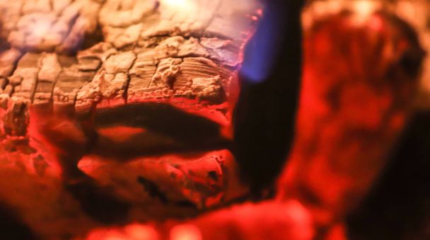 Beautiful red and orange hot burning fire in a fireplace - Fotografie, Obrázek