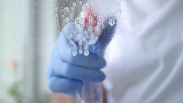 Close Up Man Hands with Blue Gloves Cleaning a Window Using Sprayed Liquid - Záběry, video