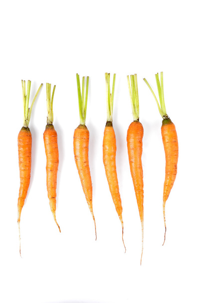 baby carrots - Foto, Imagen
