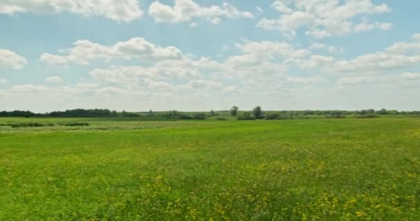 Beautiful landscape with green grass and blue cloudy sky. Beautiful meadow with spring flowers. Beauty of nature.  Beautiful landscape. Field flowers. Green field with yellow flowers.  Panning.  - Footage, Video