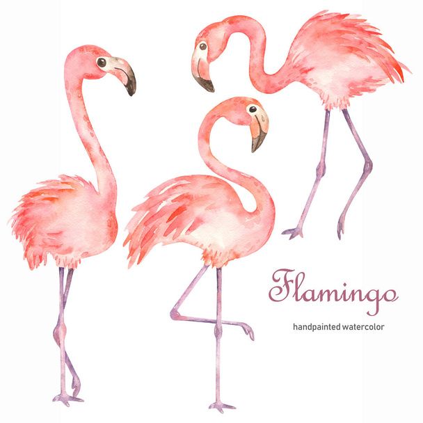 Watercolor set with pink cute flamingos - Photo, Image