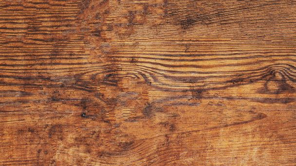 Old brown bark wood texture. Natural wooden backgroun - Foto, imagen