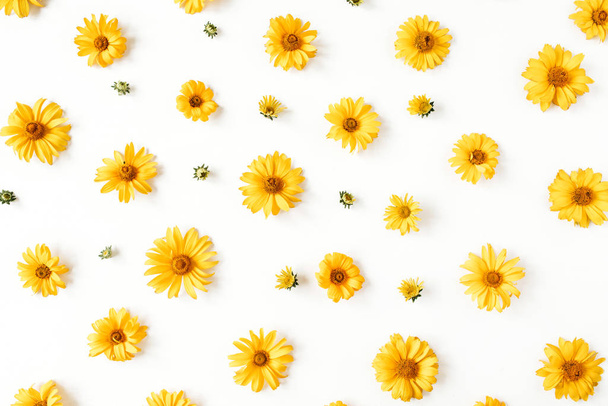 Plana puesta amarilla margarita patrón de capullos de flores sobre fondo blanco. Vista superior textura floral
. - Foto, Imagen