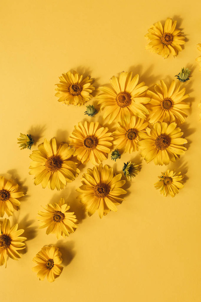 Floral σύνθεση με κίτρινα μπουμπούκια μαργαρίτας σε κίτρινο φόντο. Flatlay, πάνω όψη. - Φωτογραφία, εικόνα