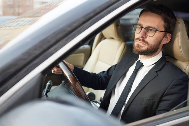 Serious young bearded businessman in eyeglasses sitting behind the wheel and driving the car concentrating on the road - 写真・画像