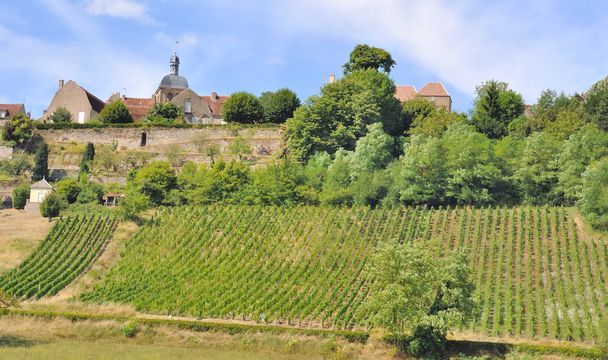 Francouzská vesnice v Burgundsku - Fotografie, Obrázek