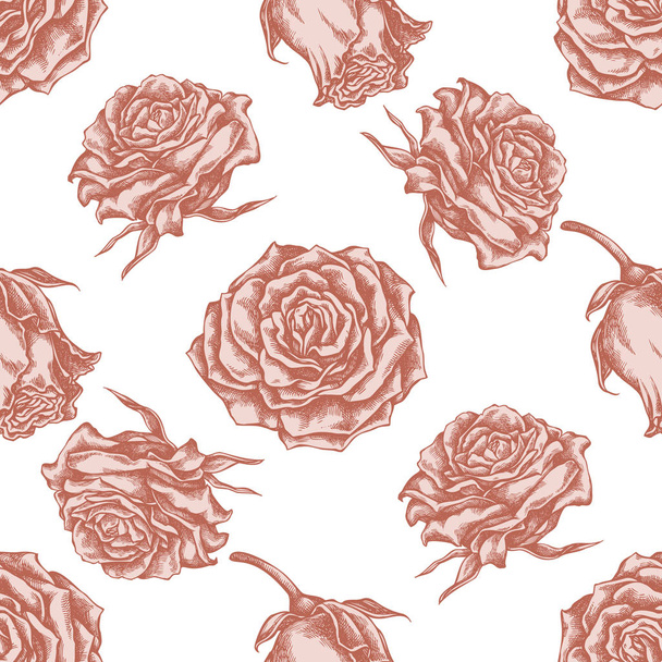 Seamless pattern with hand drawn pastel roses - Vektori, kuva