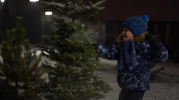 beautiful slow motion video - little boy fun shakes off snow from a snowy Christmas tree in the park on a winter evening - Footage, Video