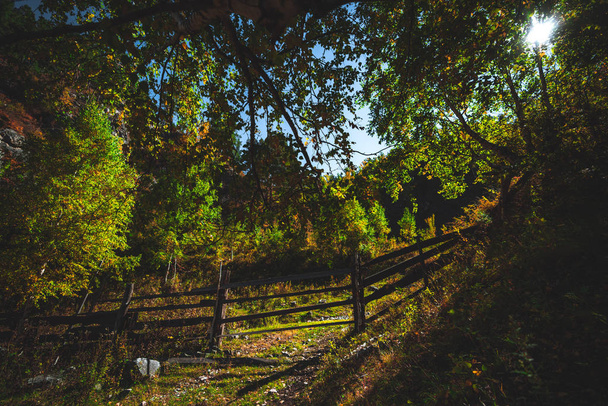 Puinen aidat syksyllä vuoristossa
 - Valokuva, kuva