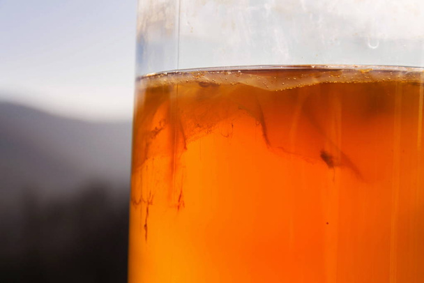 Комбуча натуральний ферментований чай у скляній банці, здоровий напій азійського походження. - Фото, зображення