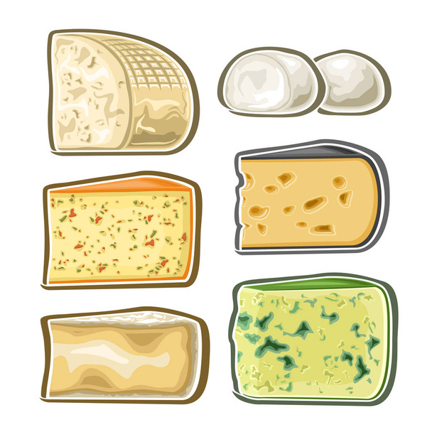 Wektorowy zestaw świeżego sera, kolekcja 6 wyciętych ilustracji różnorodnych serów mieszanych na białym tle. - Wektor, obraz