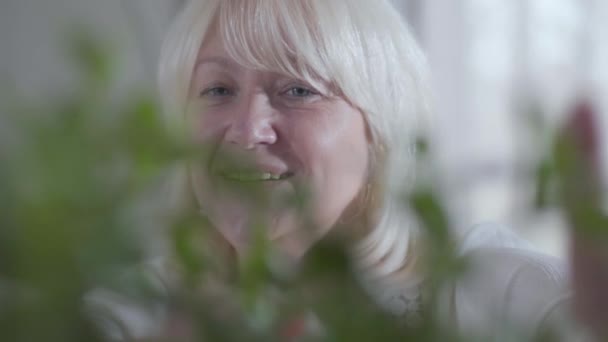 Close-up face of smiling senior Caucasian woman spraying water on domestic flowers. Portrait of happy retiree behind green leaves. Grandmother taking care of her home plants. Hobby, pastime, leisure. - Záběry, video