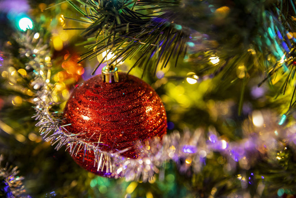 Red Christmas ball on a Christmas tree - Фото, изображение