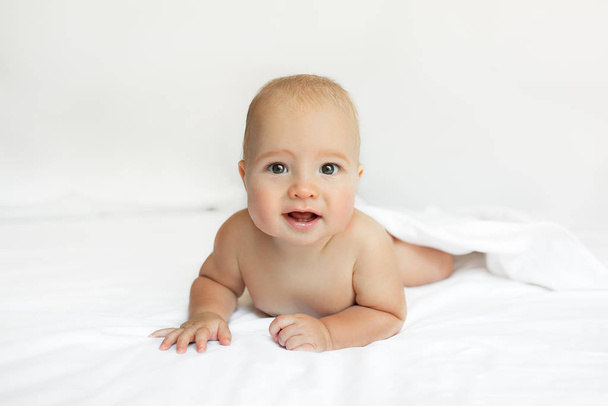 Baby on White background. Adorable two month old baby boy lying on the bad. Concept photo parenthood and motherhood - 写真・画像
