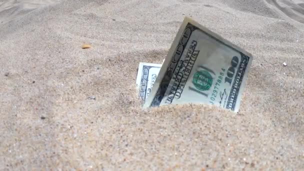 Ντολάρ χρήματα μισοκαλυμμένα με άμμο βρίσκονται στην παραλία close-up. - Πλάνα, βίντεο