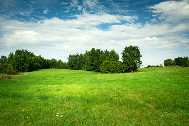 Bonito prado verde, árvores e nuvens brancas no céu
 - Foto, Imagem