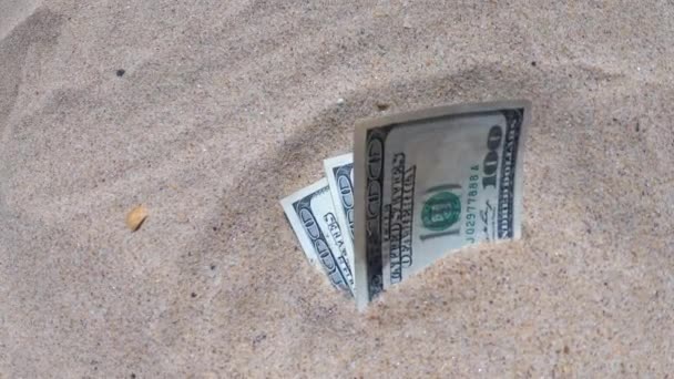 Peníze dolary napůl pokryté pískem leží na pláži zblízka. - Záběry, video