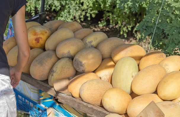 Melones en un mercado espontáneo por la carretera
 - Foto, Imagen