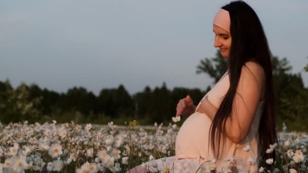 Νέα όμορφη έγκυος γυναίκα κάθεται σε ένα λουλούδι τομέα χαϊδεύοντας την κοιλιά της και χαμογελώντας στο ηλιοβασίλεμα. - Πλάνα, βίντεο