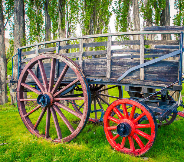 Dřevěný vůz tažený koněm v Patagonii  - Fotografie, Obrázek