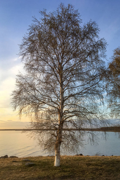 Kylmä järvi napapiirillä
 - Valokuva, kuva