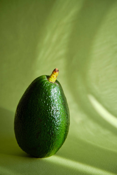 Green avocado in the sunlight in beautiful green background. Avocado closeup. Natural fresh organic eco product. Healthy eating, raw food diet. Vegetarian lifestyle. Proper nutrition. Ready to eat - Fotó, kép
