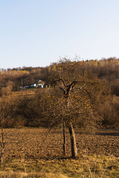 Sonbahar manzarası, Colofrul ormanlarının arasında çok eski bir ev. - Fotoğraf, Görsel