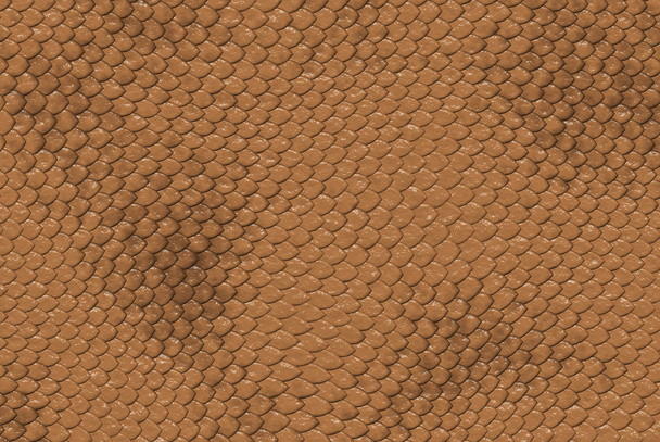 Snake leather skin imitation - Photo, Image