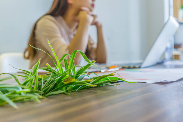 Woman sitting next to green plant with laptop at office - Фото, зображення